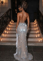 Martha Mae Premium Feather Trim Gown Silver